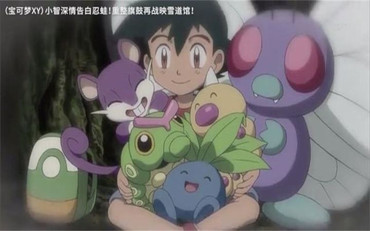 小智找回初衷!智蛙一雪前耻的前夕!截图