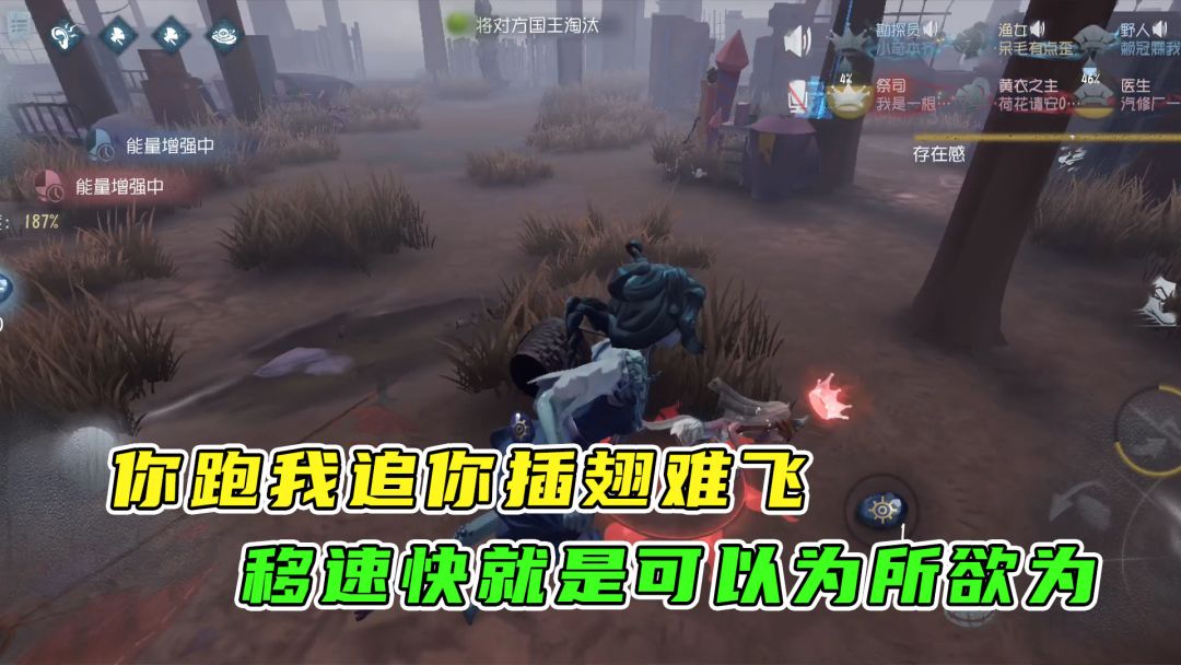 video-2159437