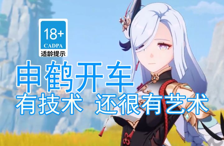 【原神歪传】申鹤开车 有技术也很艺术截图