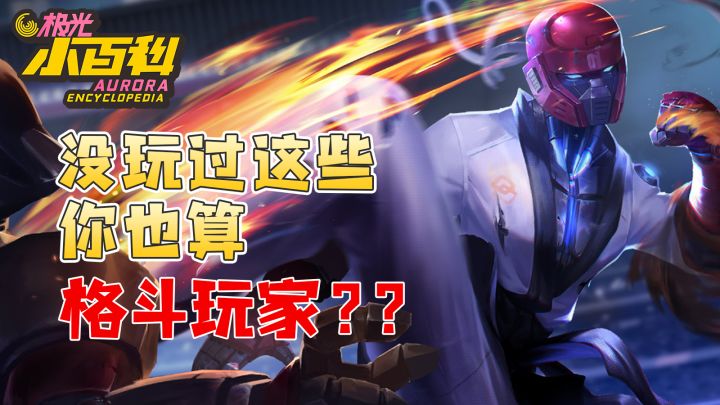 【极光小百科】不如来一场酣畅淋漓、拳拳到肉的格斗游戏?截图