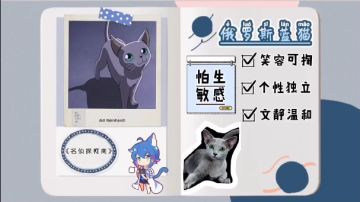 【猫灵小百科】——俄罗斯蓝猫