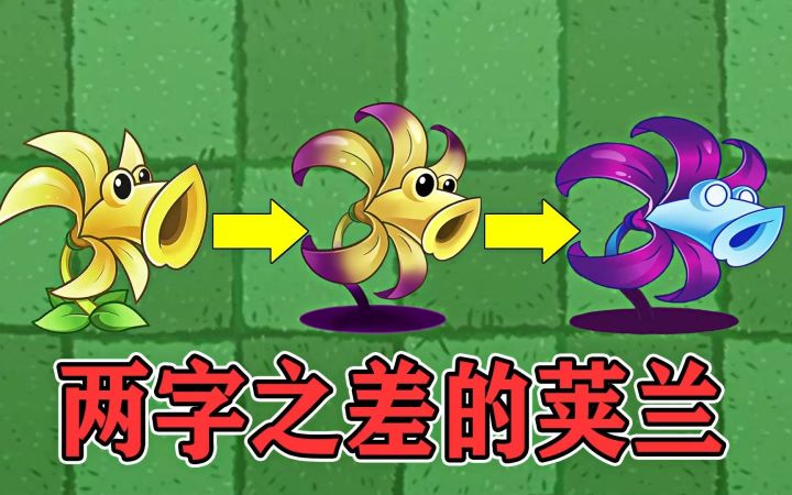 植物大战僵尸2:两字之差的荚兰植物,为何差距这么大?截图