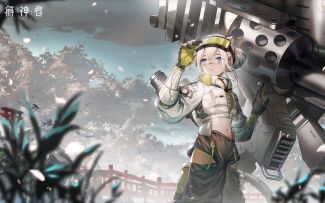 【解神者】萌新必看！白虎宝石姬究竟带哪一个？视频实测告诉你！