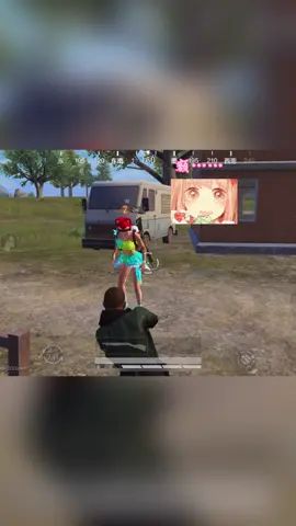 video-2115578