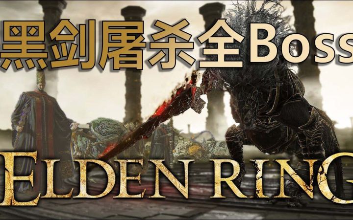 [转载] 黑剑屠杀全Boss截图