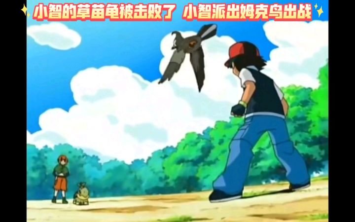 精灵宝可梦 小智的草苗龟被击败了 小智派出姆克鸟出战截图