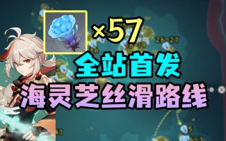【原神】全站首发！57个海灵芝丝滑采集路线~枫原万叶突破材料收集！