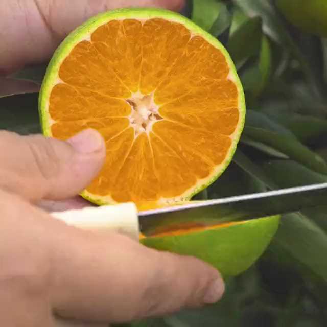 我的火凤罢工了!!截图