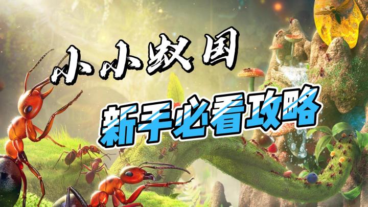 小小蚁国:新手上路的隐藏秘籍,弯路至少缩短一半截图