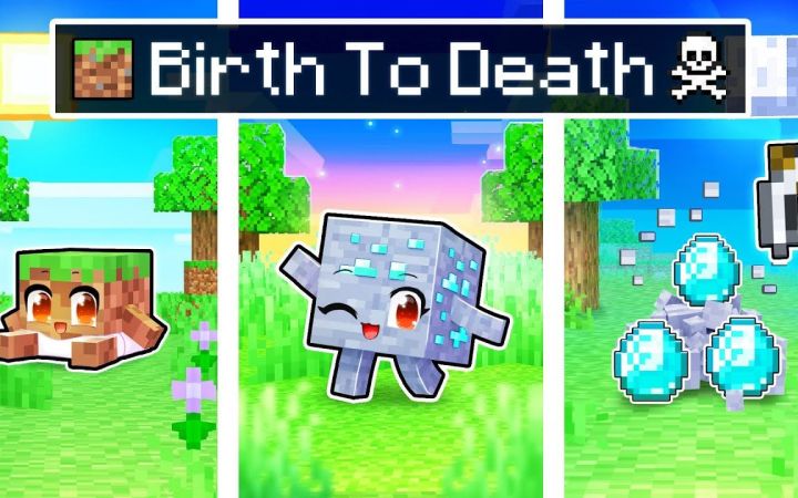 【Aphmau】我的世界|小方块的一生BIRTH To DEATH of a Minecraft BLOCK!截图