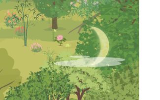 合理密植●)o(●