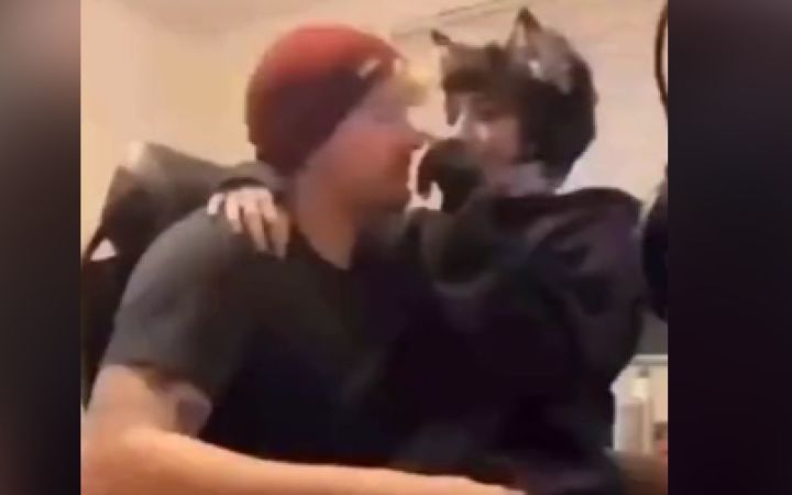 猫咪:莫挨老子,老子公的!截图