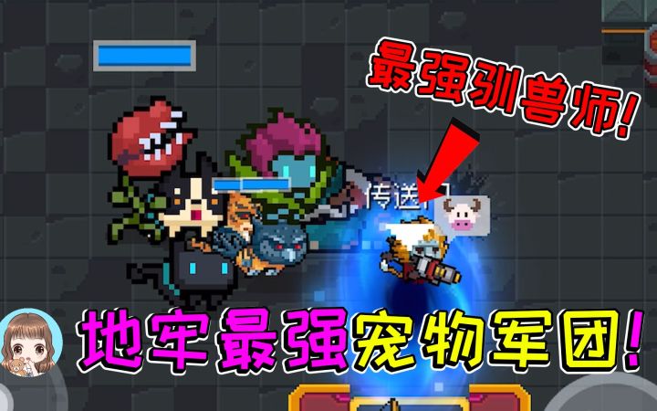 元气骑士10：地牢最强驯兽师，组建最强宠物军团！Boss们遭受群殴截图