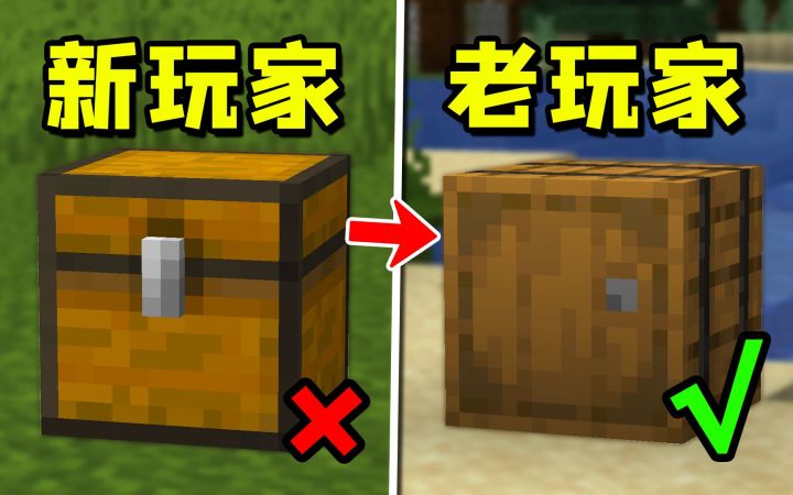 我的世界:新玩家 vs 老玩家!相同物品的不同用法!截图