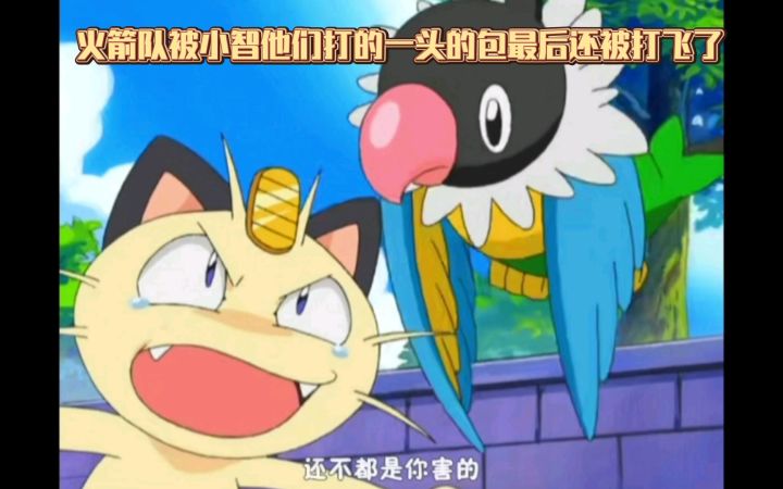 精灵宝可梦 火箭队被小智他们打的一头的包最后还被打飞了截图