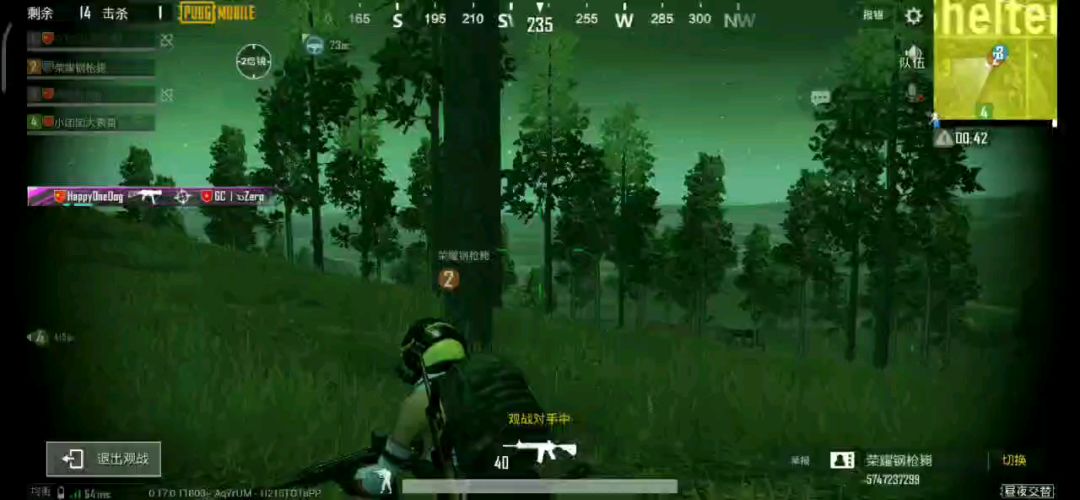 video-1312985
