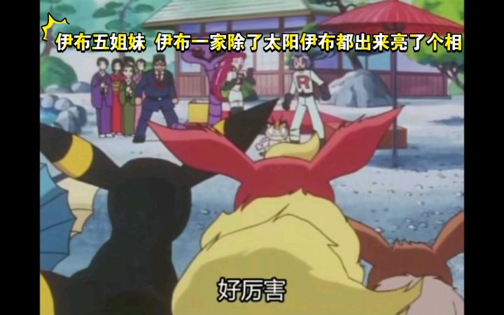 精灵宝可梦 伊布五姐妹 伊布一家除了太阳伊布都出来亮了个相截图