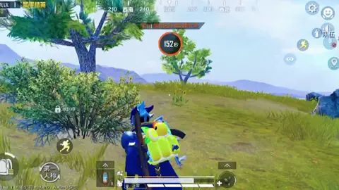 video-2137159