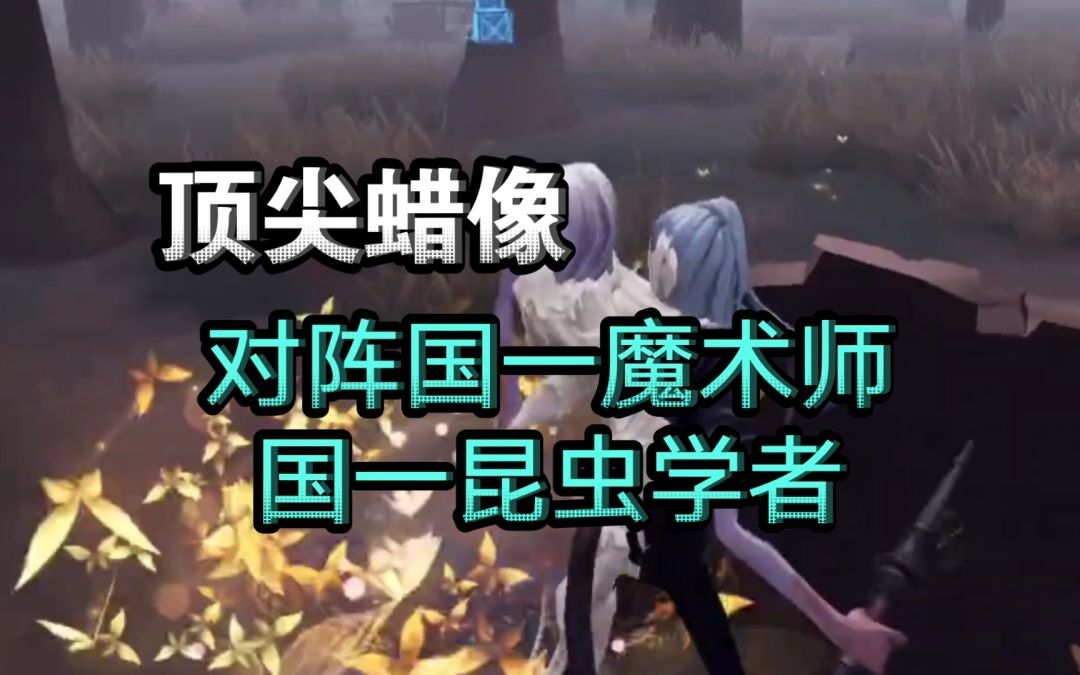 video-3036387