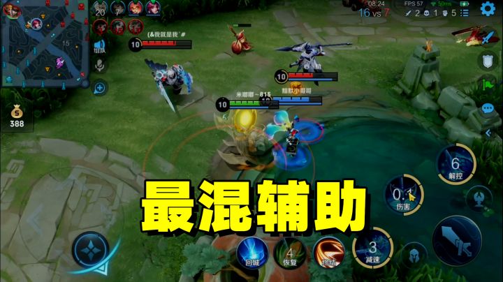 辅助就选混子鱼,能混还能水,对面团控要气哭截图