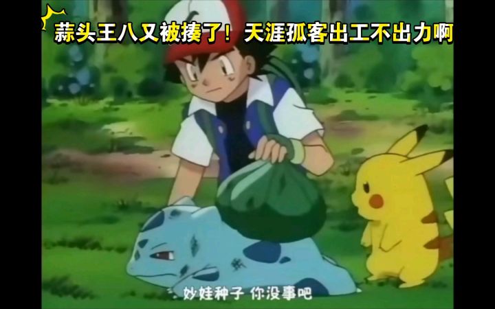 精灵宝可梦 妙蛙种子VS大葱鸭 蒜头王八又被揍了 天涯孤客你出工不出力啊截图