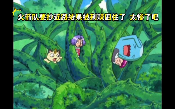 精灵宝可梦 火箭队要抄近路结果被荆棘困住了 太惨了吧截图