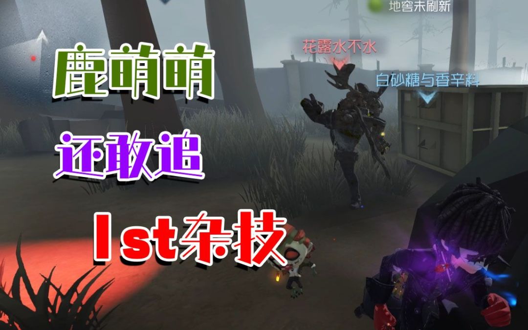 video-2323874
