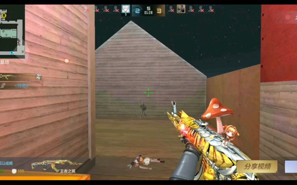 video-1794169