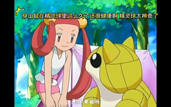 精灵宝可梦 穿山鼠在精灵球里这么久了还很健康啊 精灵球太神奇了截图