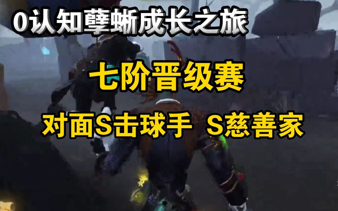 video-3191537