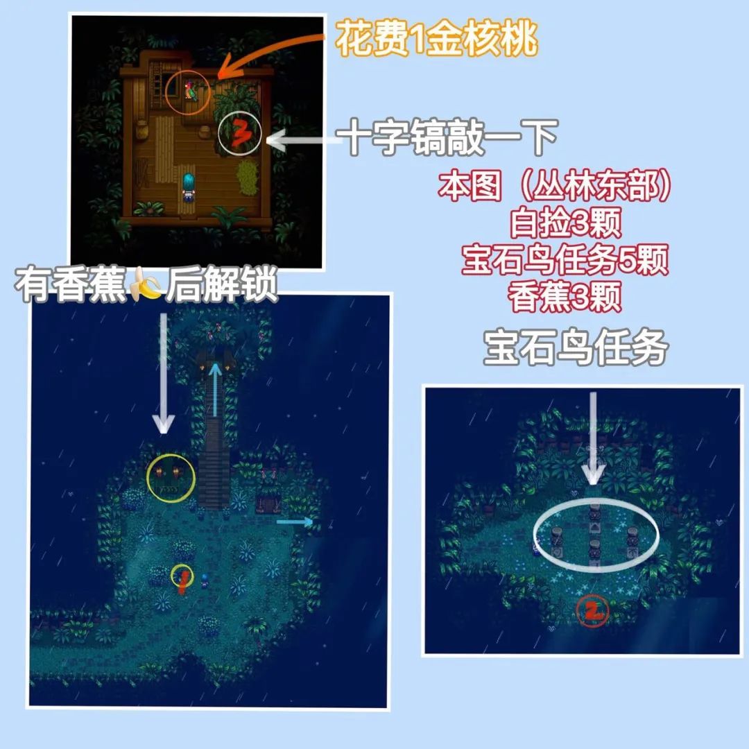 星露谷物语|金核桃全攻略-任务篇 2
