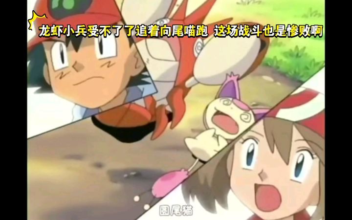 精灵宝可梦 哈哈哈 龙虾小兵受不了了追着向尾喵跑 这场战斗也是惨败啊截图