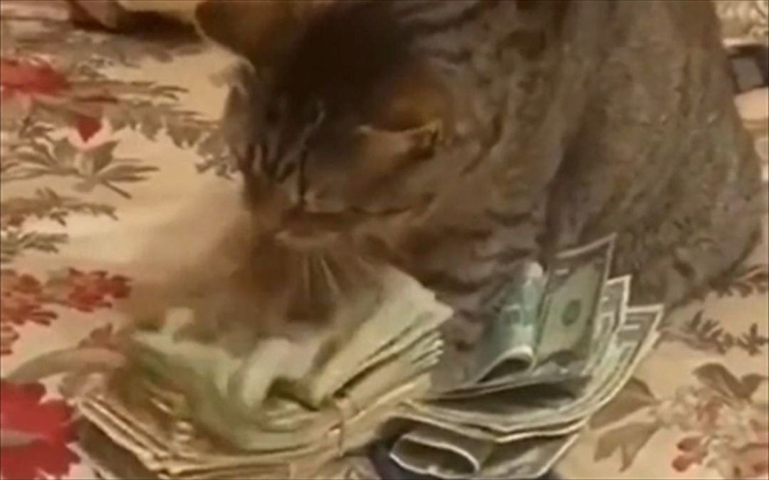 video-3322690