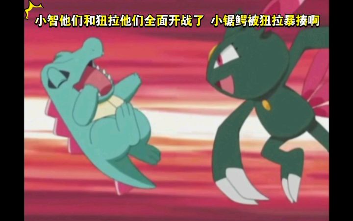 精灵宝可梦 小智他们和狃拉他们全面开战了 小锯鳄被狃拉暴揍啊截图