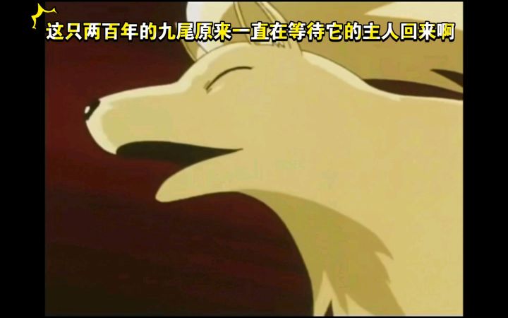 精灵宝可梦 这只两百年的九尾原来一直在等待它的主人回来啊截图