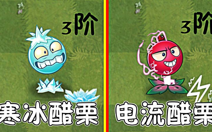 植物大战僵尸：身为橙卡的醋栗，有何不同？截图
