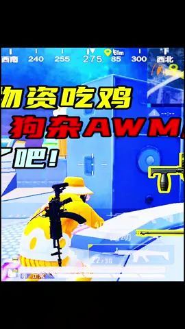 玉兔:挑战飞艇物资吃鸡,狗杂AWM应有尽有,这也太肥了吧!#和平精英截图