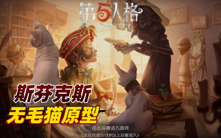 第五人格:三周年游戏载入界面,里面的无毛猫,居然是我家的截图