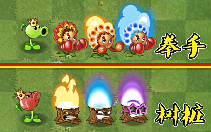 植物大战僵尸2:同样能点燃豌豆,到底有何不同呢?截图