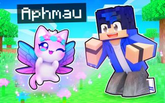 【Aphmau】我的世界|猫咪仙子Playing Minecraft as a Magical FAIRY Kitten!