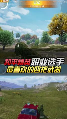 一定要看到最后哦～#·#和平精英绿洲启元 #和平精英截图