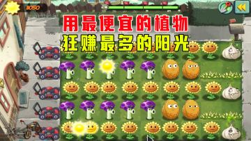 植物大战僵尸：用最便宜的植物，最低的价格！狂赚最多的阳光