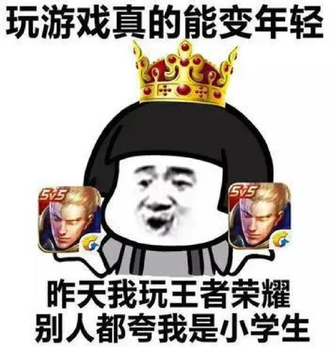 王者荣耀搞笑表情包 5