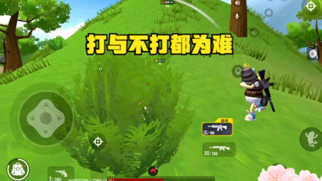 video-2573226