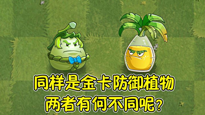 植物大战僵尸：同样是金卡防御植物，两者有何不同呢？截图