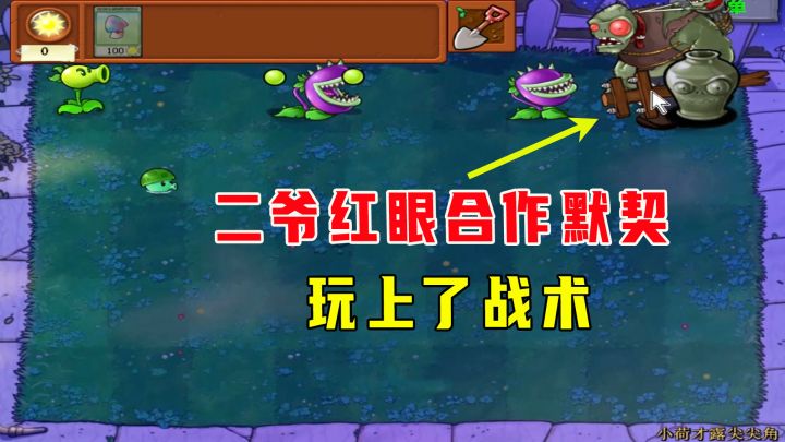 植物大战僵尸:小荷才露尖尖角(上),红眼二爷合作默契截图