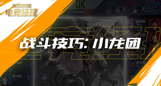 经理人战斗技巧：小龙团截图