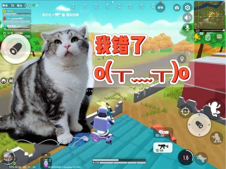 总有个家伙影响我打游戏，怎么办截图