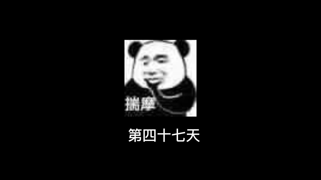 video-2228288