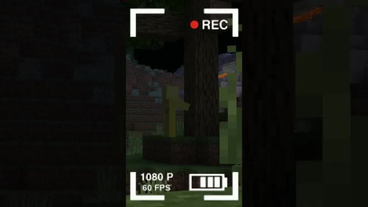 凌晨 3 点玩 Minecraft 就像...😳 #Shorts截图